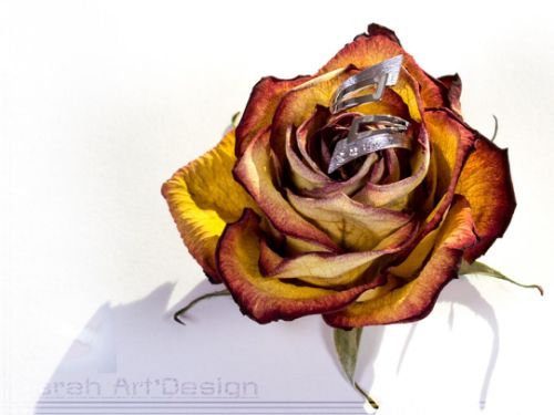 bague argent diamants